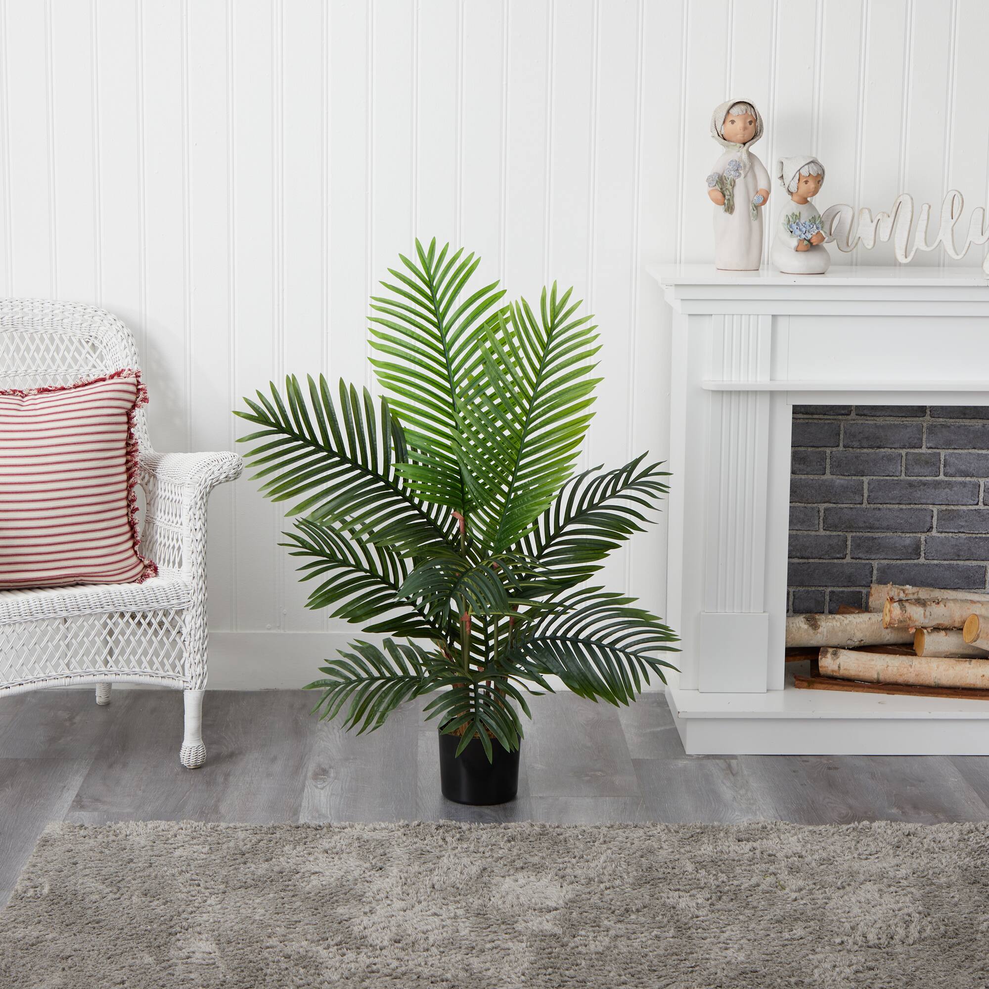 4ft. Potted Paradise Palm Tree